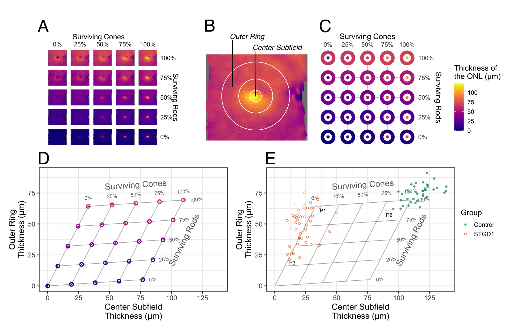Figure 3 from Whitmore et al. 2023