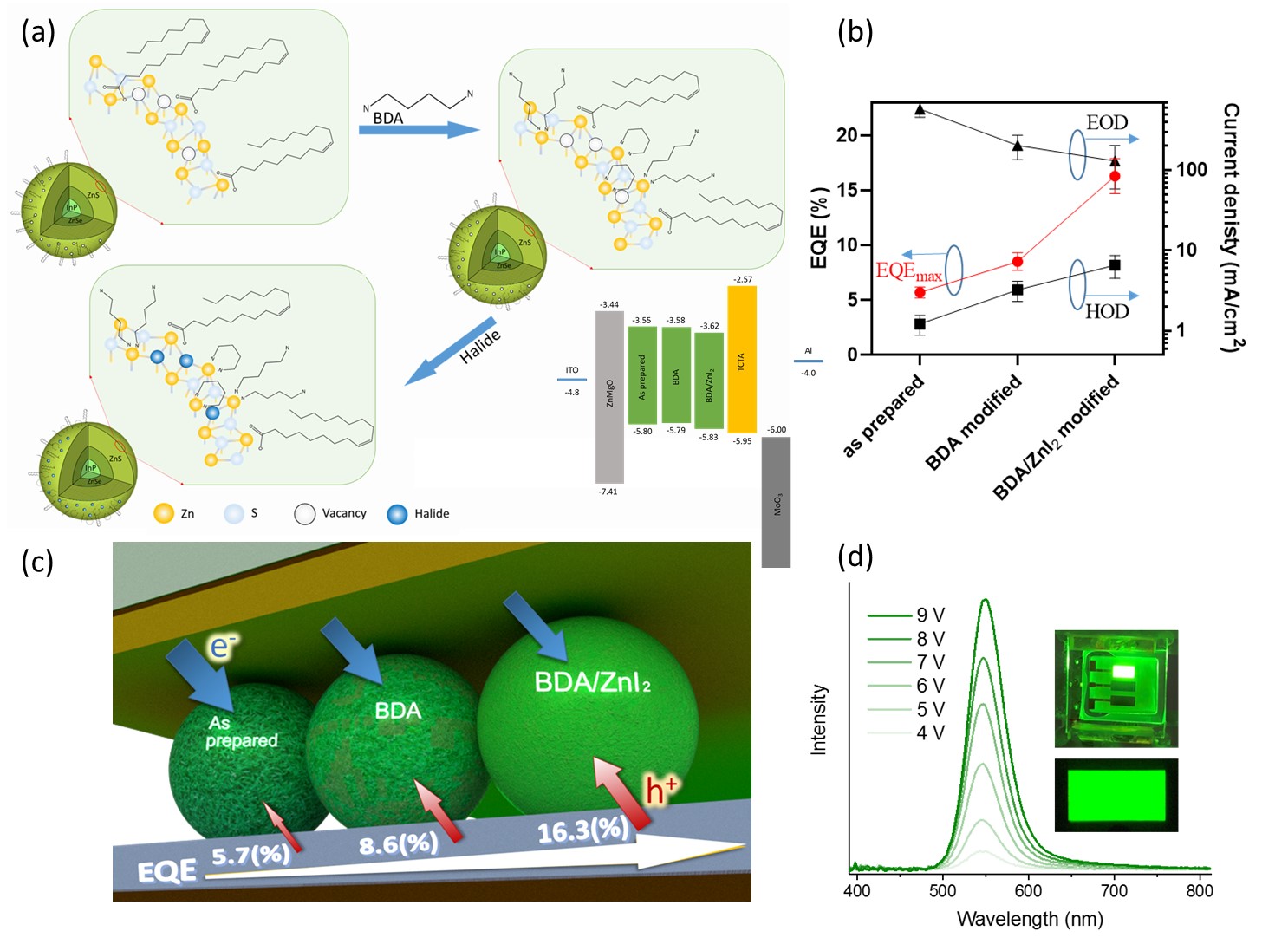Figure 1. (a) The schematic diagram of InP GQDs passivated by the synergistic effect of BDA combined with zinc halides. (b) The comparison among as prepared, BDA modified, and BDA/ZnI2 modified InP GQD devices. (c) The illustration shows the relationship between the passivation process and the electron/hole balance that affects EQE. (d) The voltage-dependent electroluminescent spectra of the QLED with BDA/ZnI2 modification. Inset: photographs of the operating devices.