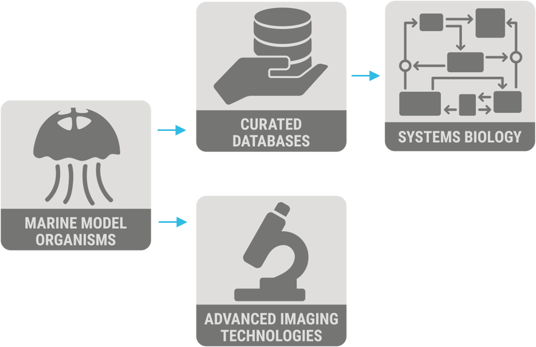 Example pathways with multiple life science RIs. 