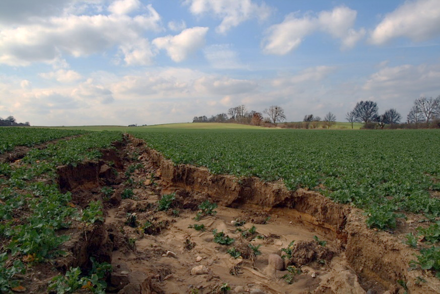 Makalenin Arkasında: İsviçre Ekilebilir Çiftlikler Arasında Toprak Yönetimi Uygulamalarını Keşfetmek