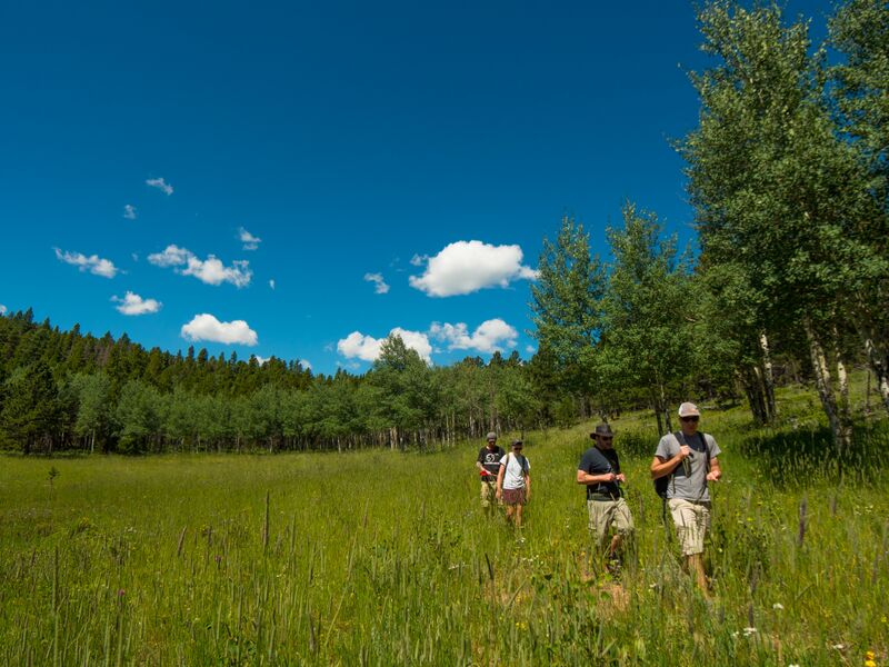 Our sampling crew in the foothills of the Rocky Mountains