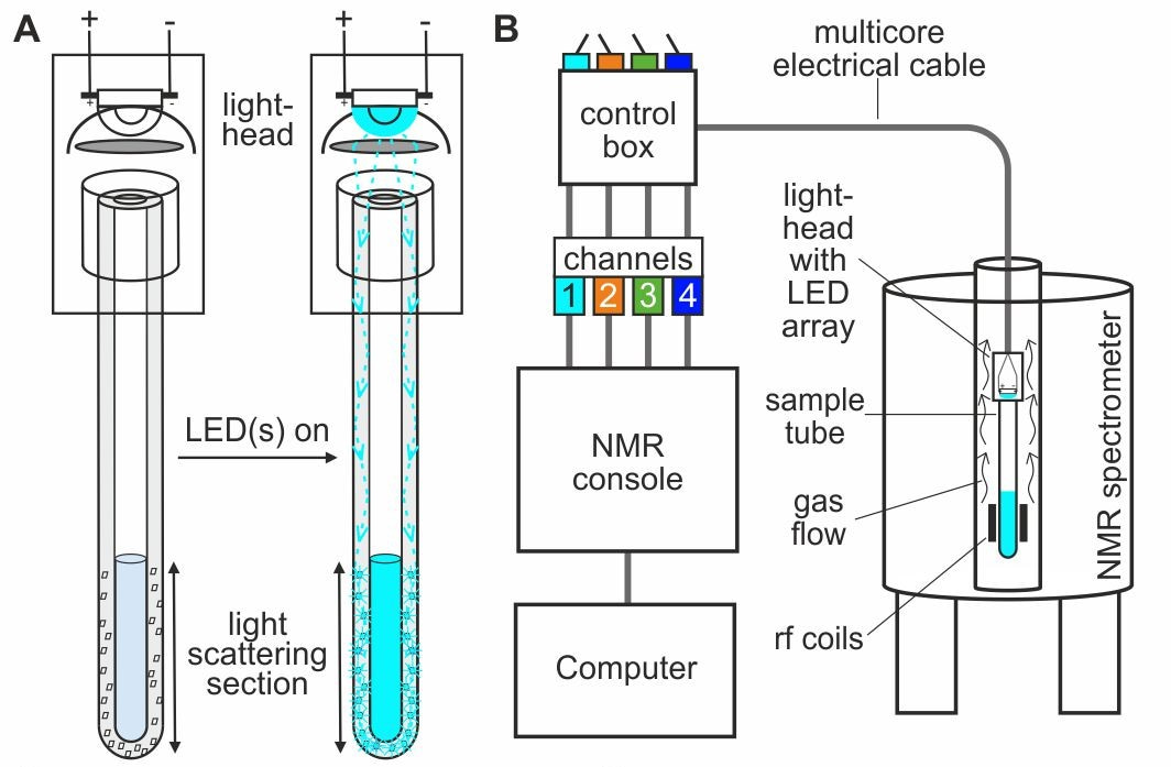 Schematic of the NMRtorch approach