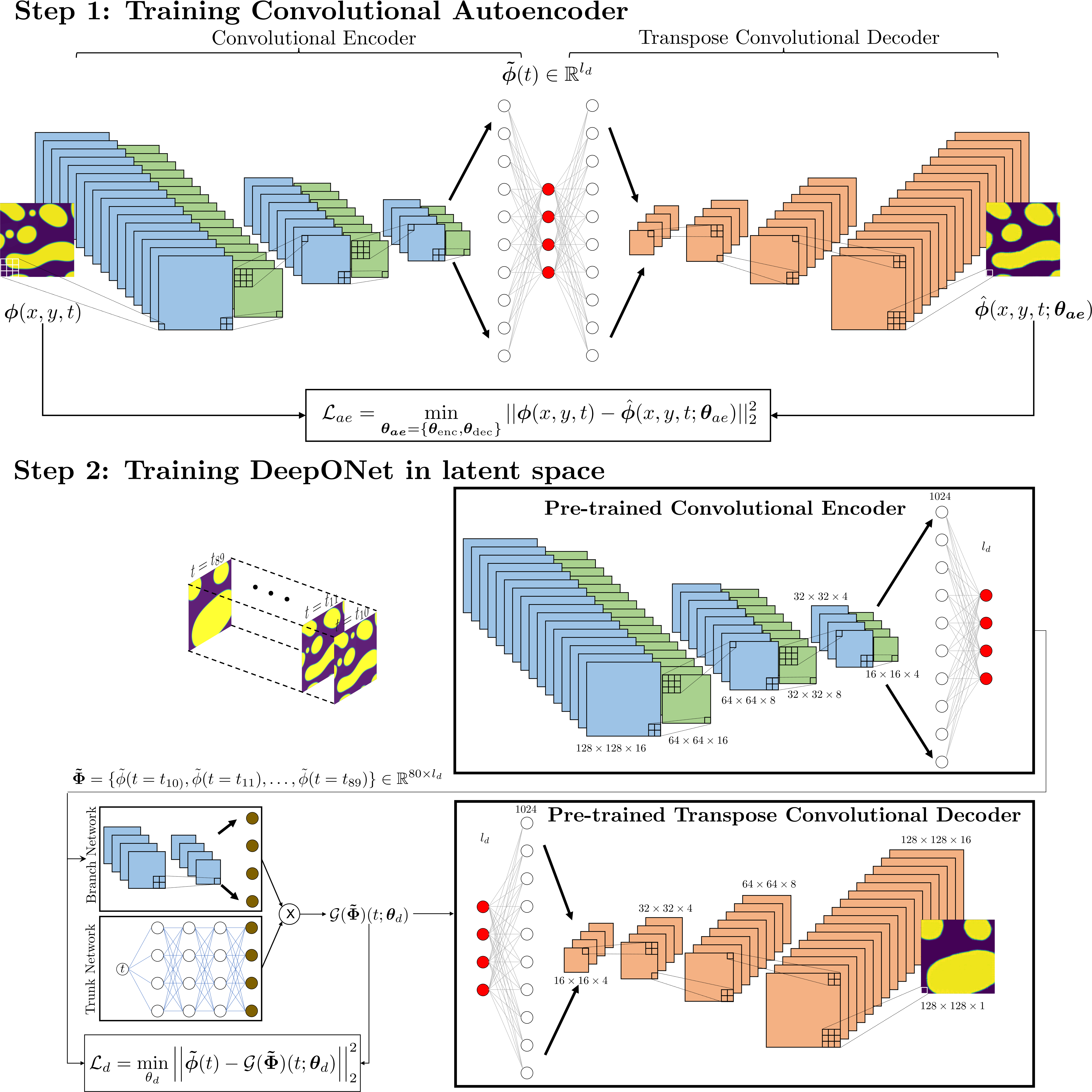 The phase-field method has emerged as a powerful, heuristic tool for modeling and predicting mesoscale microstructural evolution in a wide variety of material processes. The Cahn-Hilliard, nonlinear diffusion equation, is one of the most commonly used governing equations in phase-field models. It describes the process of phase separation, by which a two-phase mixture spontaneously separates and form domains pure in each component. The Cahn–Hilliard equation finds applications in diverse fields ranging from complex fluids to soft matter and serves as the starting point of many phase-filed models for microstructure evolution. Although the phase-field method accurately models mesoscale morphological and microstructure evolution in materials, it is computationally expensive. The presence of numerous time-evolving high-gradient regions in the concentration field defining the microstructures make it difficult for the conventional neural network based architectures to directly learn the dynamics of the underlying system in the primitive space. To overcome this difficulty, we demonstrate the effectiveness of learning the dynamics in the latent space of autoencoders. Our model consists of an encoder, a decoder, and a Deep Operator Network (DeepONet). As the first step, we train the autoencoder (encoder and decoder) to learn a non-linear transformation to a low dimensional latent space. This can be interpreted as a dimensionality reduction step. Next, we train the DeepONet model to learn the dynamics in the latent space previously learned by the encoder. The predictions made by the DeepONet in the latent space are retransformed using the pre-trained decoder to obtain the predicted microstructure at the query time.
