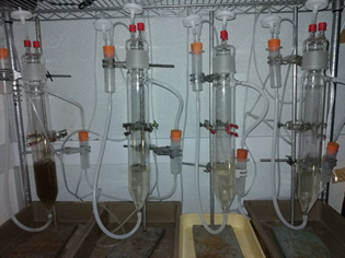 Figure 1: Picture of our four chemostats set at different dilution rates to condition our microbial communities.