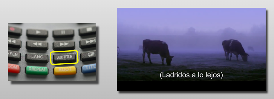 El video con subtítulos descriptivos establece un punto de accesibilidad.