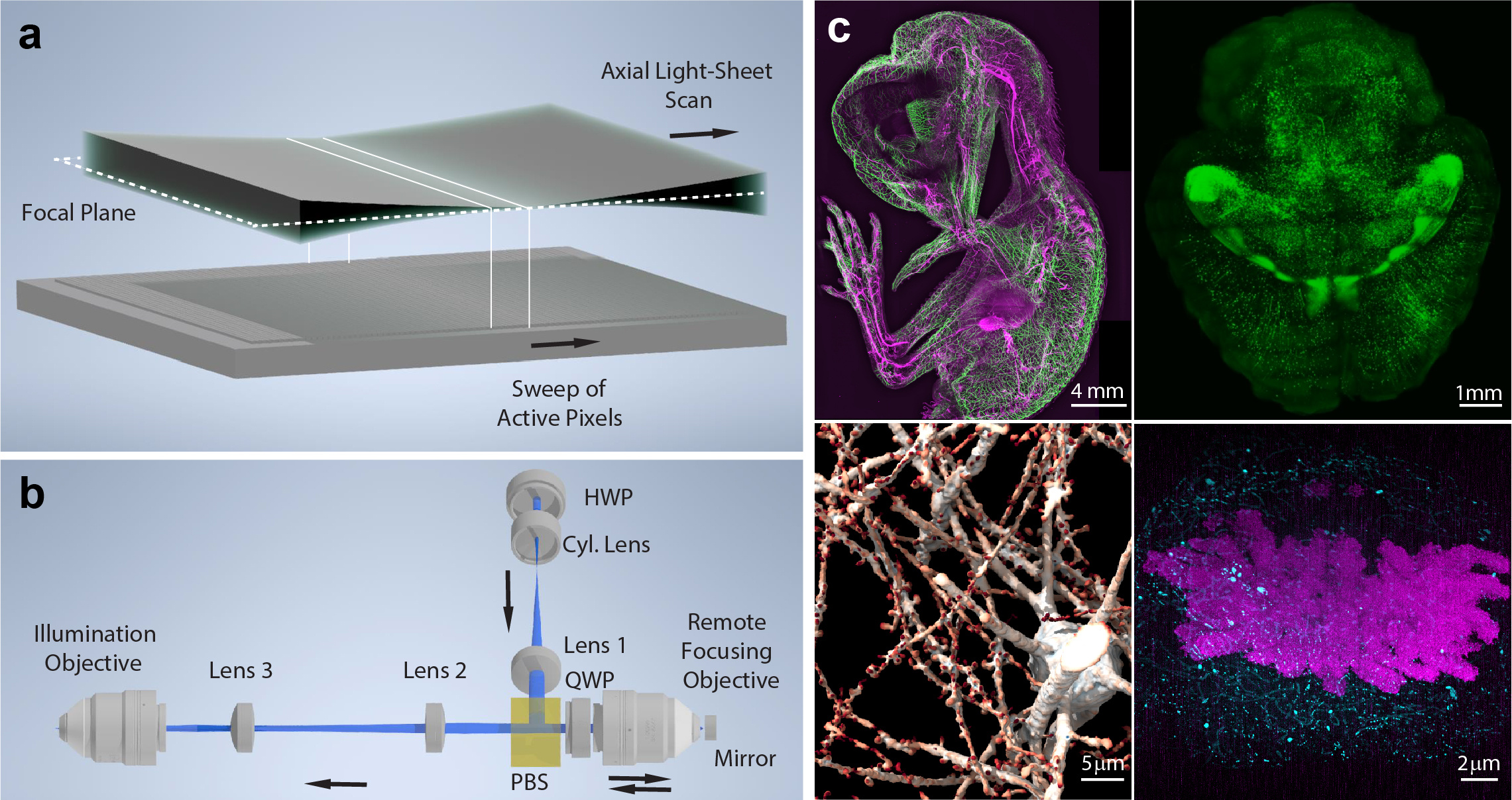 Axially swept light-sheet microscopy (ASLM)
