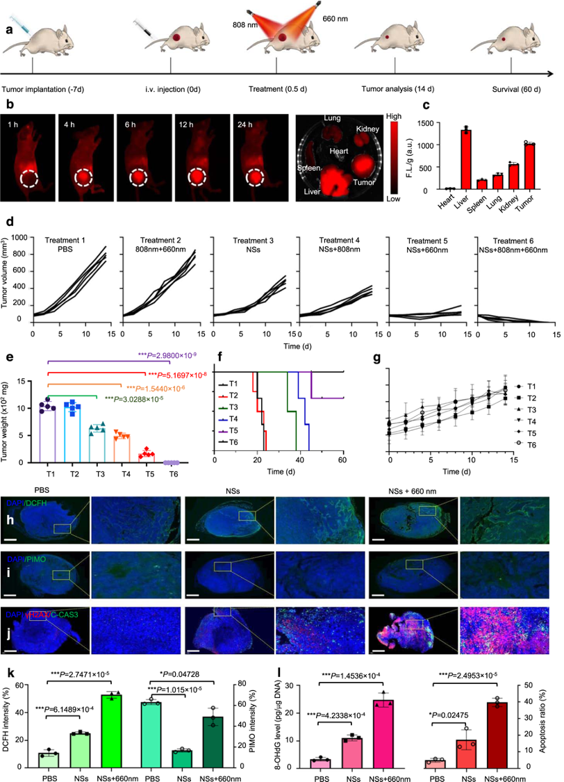 Fig. 9: In vivo imaging and anti-tumor performance of As/AsxOy@PDA@M NSs.