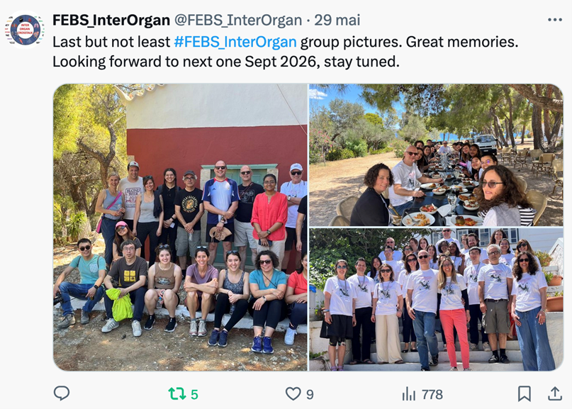 Screengrab of a tweet from X showing three photos.