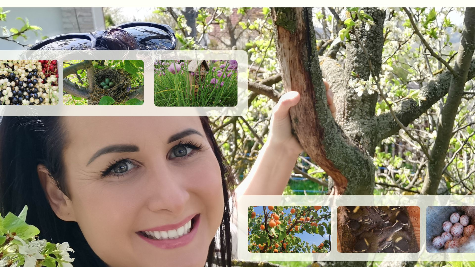 Everyday life on the farm