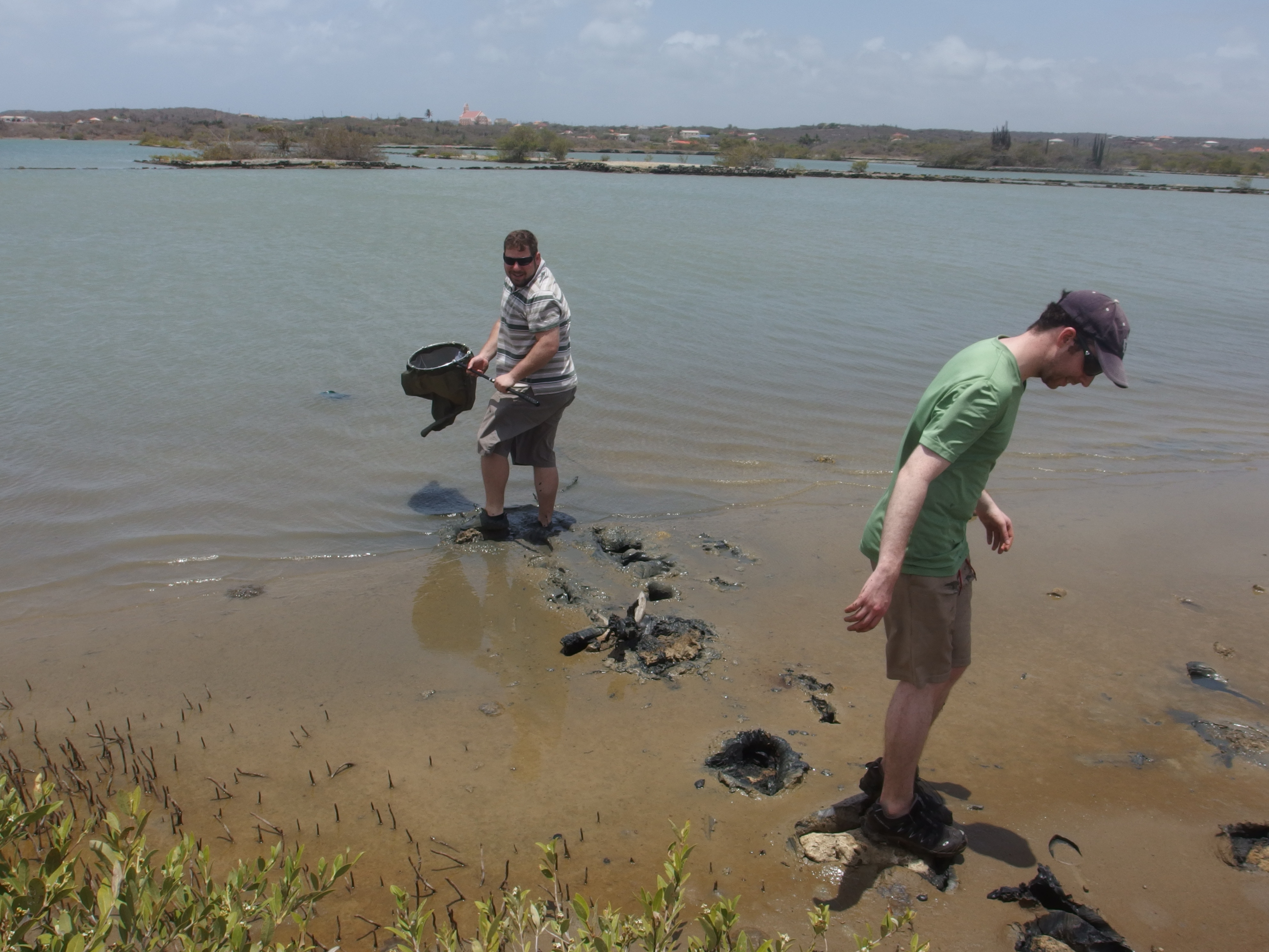 Martin Kolisko and Gordon Lax collecting samples in Curaçao