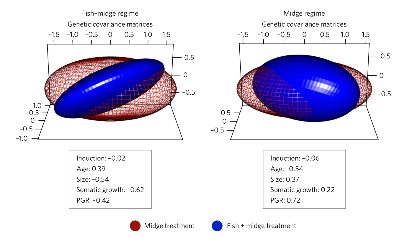 Multivariate Plasticity Multivariate Plasticity