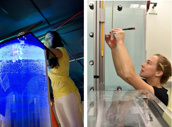 Construction of laboratory facilities to study diurnal vertical migration. Construction of laboratory facilities to study diurnal vertical migration.