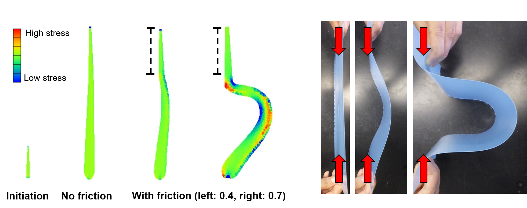 Mathematical modelling
