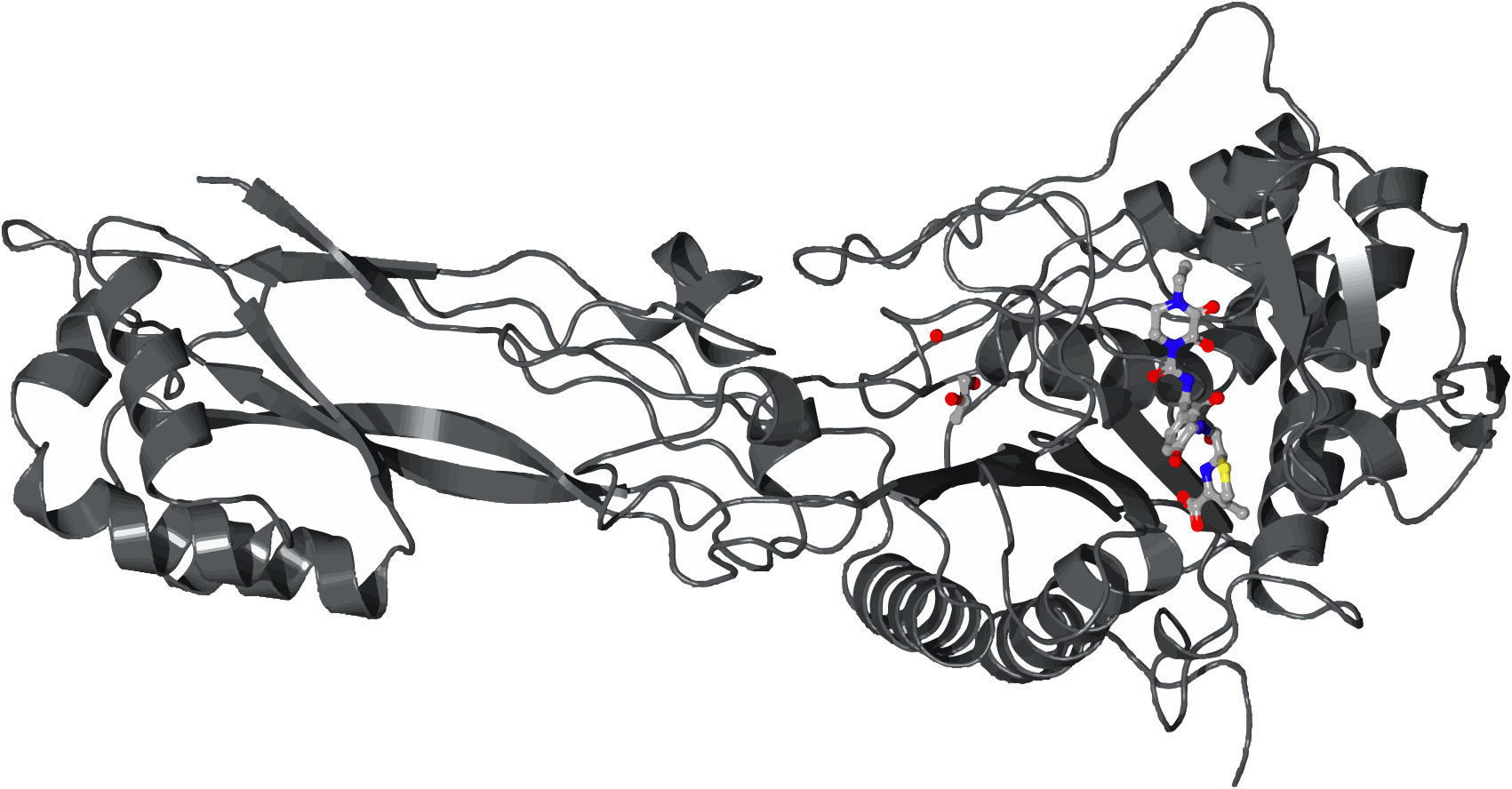 Crystal structure of penicillin-binding protein 3 in complex with deacylated product of cefoperazone