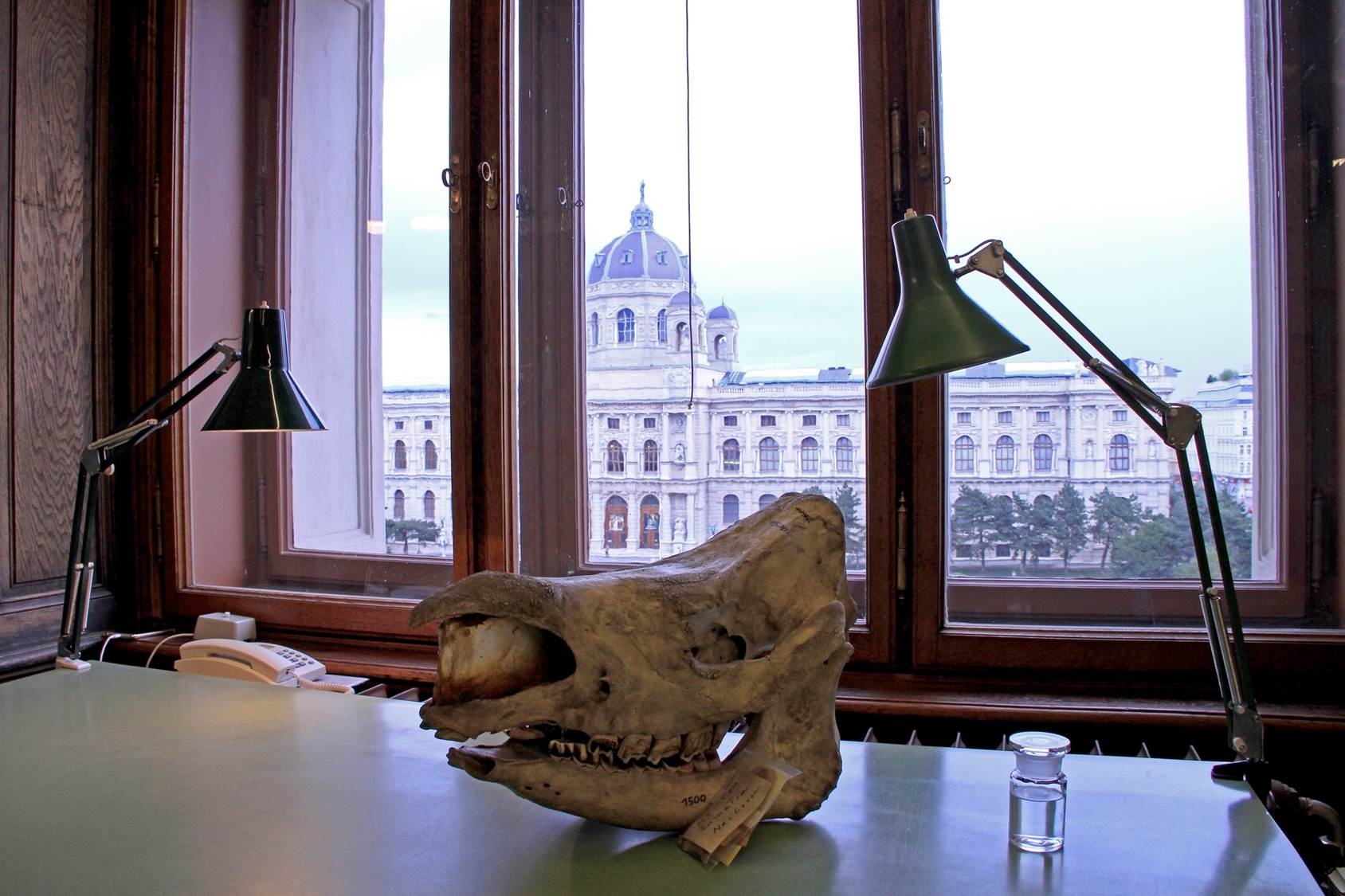 Sampling with a view.