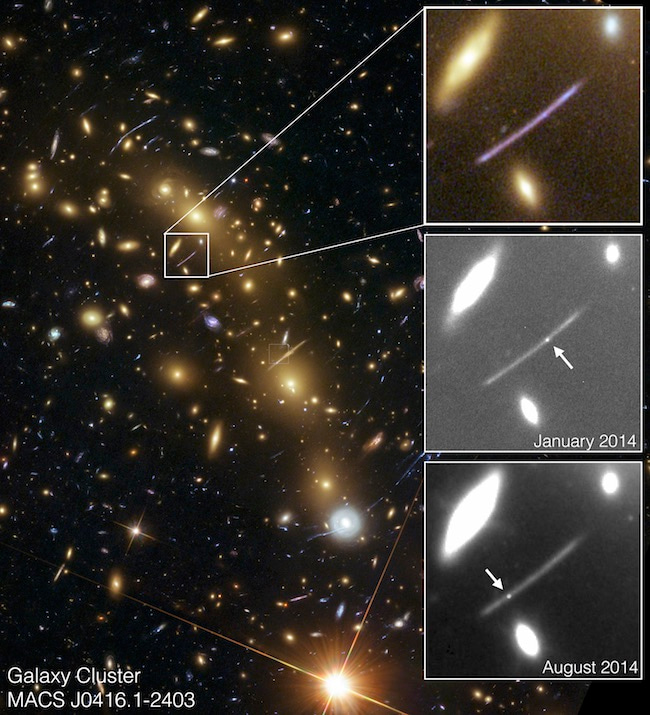 Spock discovery image