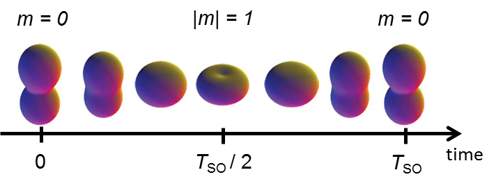 Spin-Orbit wave packet in Ar+.