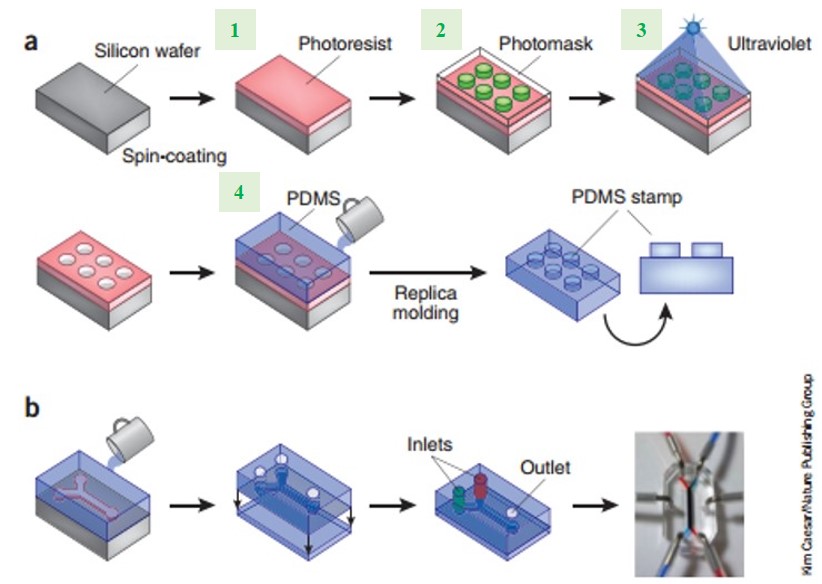 Fabrication methods for microfluidic chips (Figure 1, nature biotech, 2014)