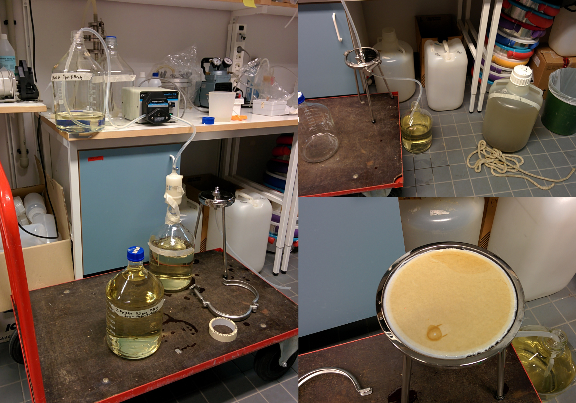 Phage particle isolation Phage particle isolation