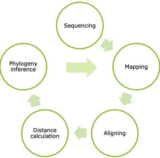 Never ending circle of genomic surveillance Never ending circle of genomic surveillance