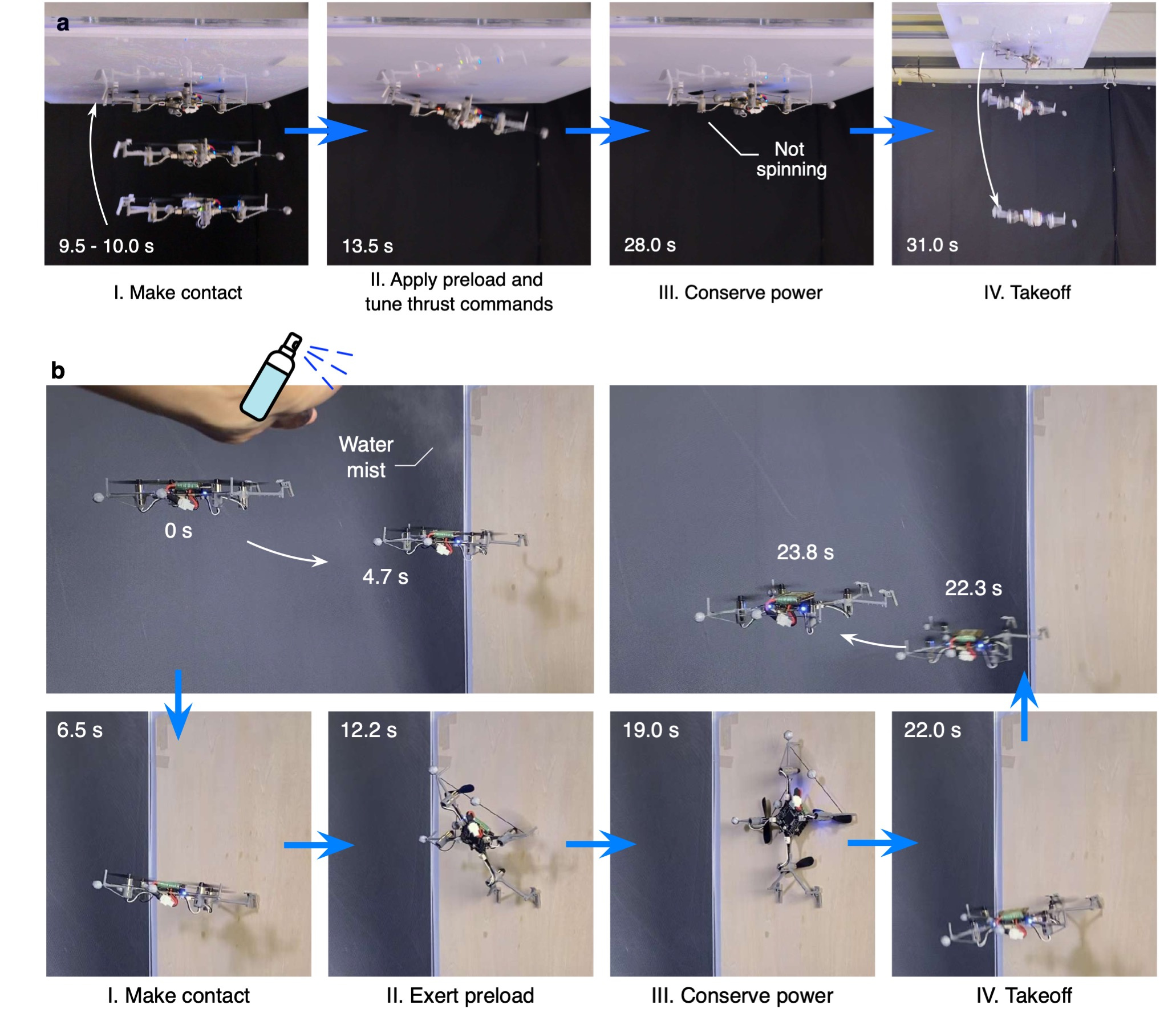 Ceiling and wall perching