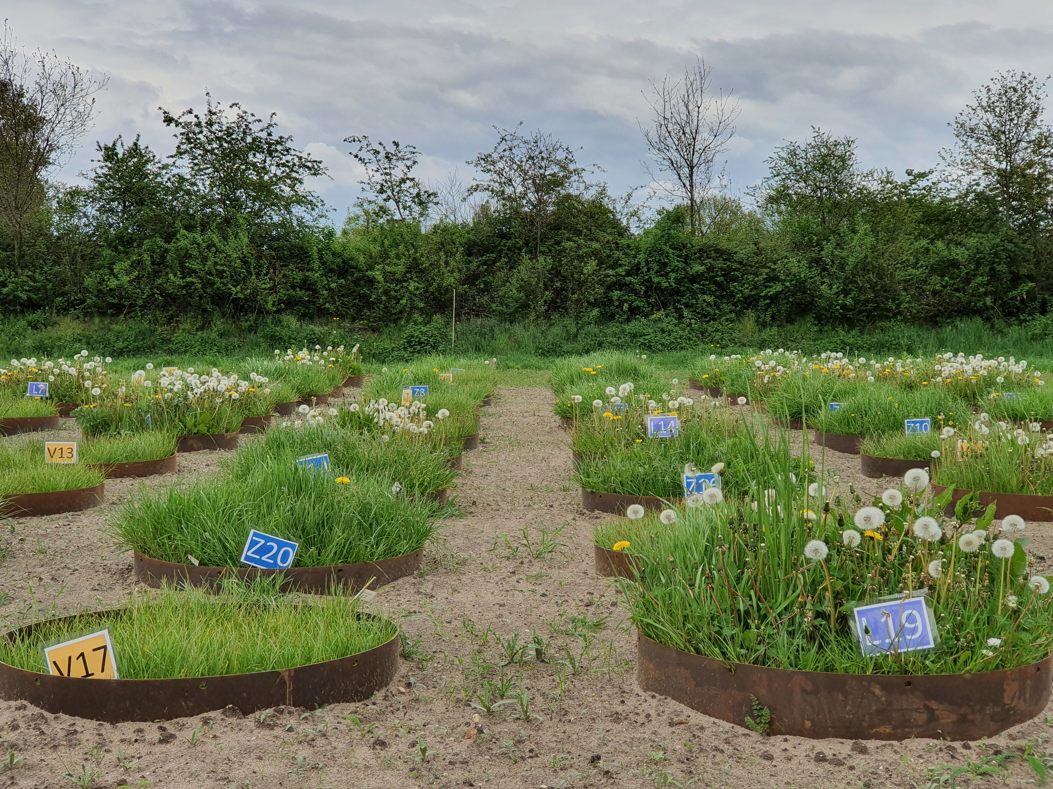A photo of the Soil-tron at the Netherlands Institute of Ecology