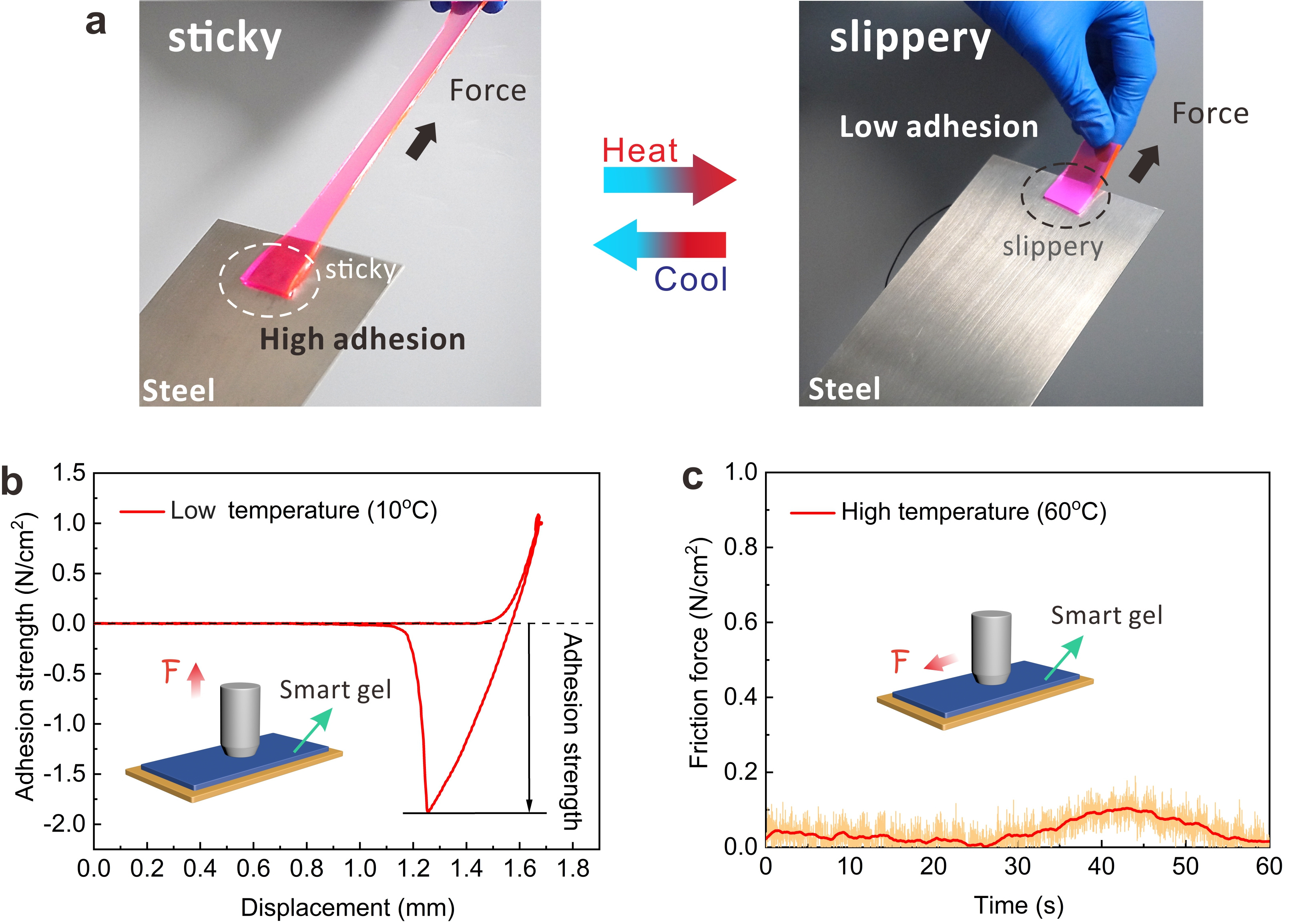 a The sticky and slippery state of the DMCS-hydrogels against iron sheet at high and low temperatures. The hydrogel was dyed with rhodamine B. b Displacement-adhesion strength curve at 10 oC. c Friction curves in time domain at 60 oC. F: Force.