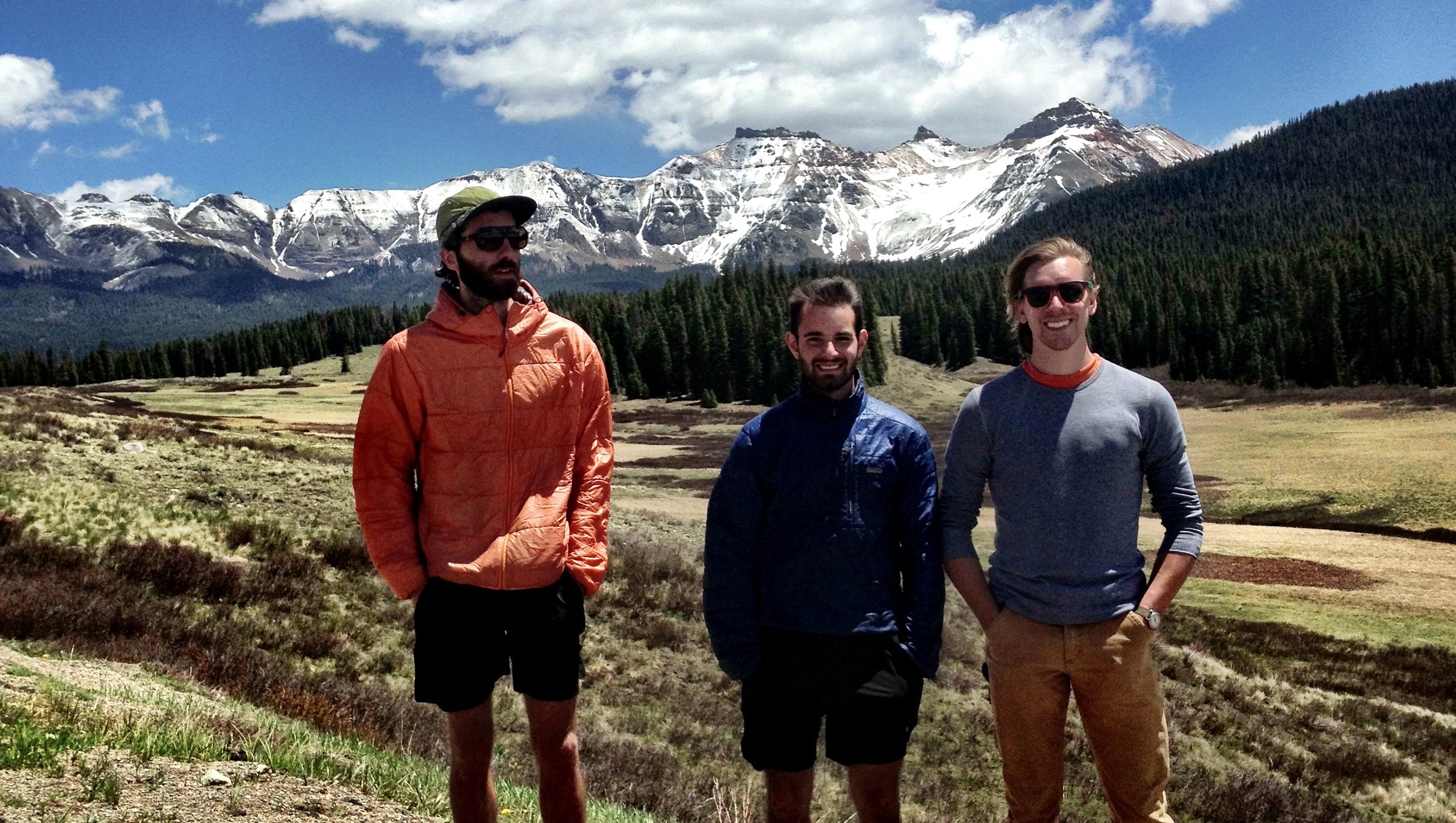 Near the top of an elevation gradient in Colorado, USA. Photo credit: Ian Ware.