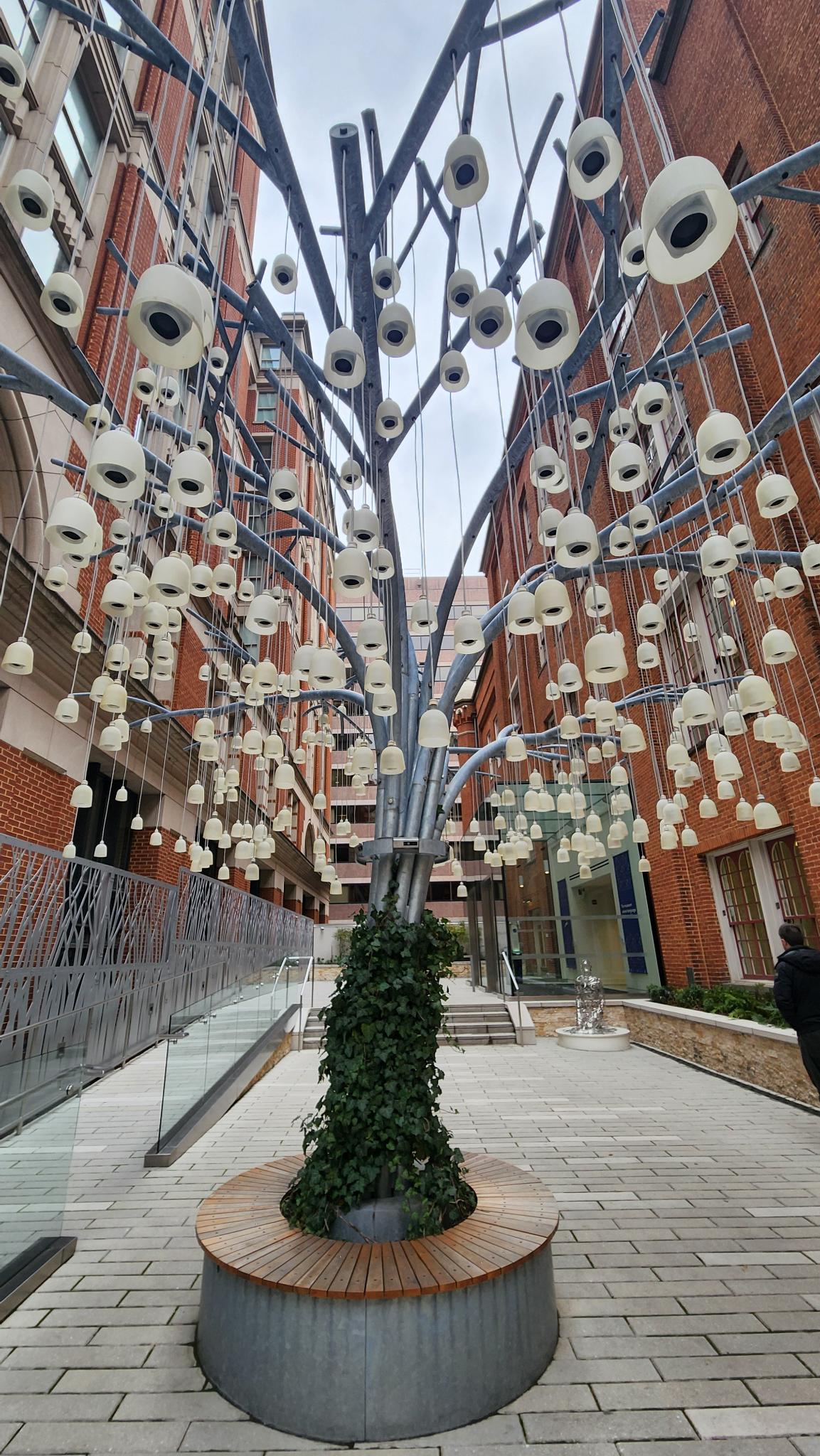 Speaking Willow Tree