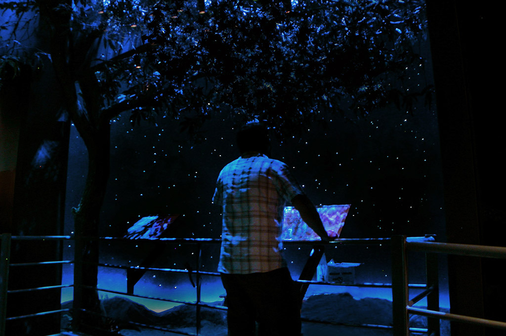 Museo de la Vid y el Vino