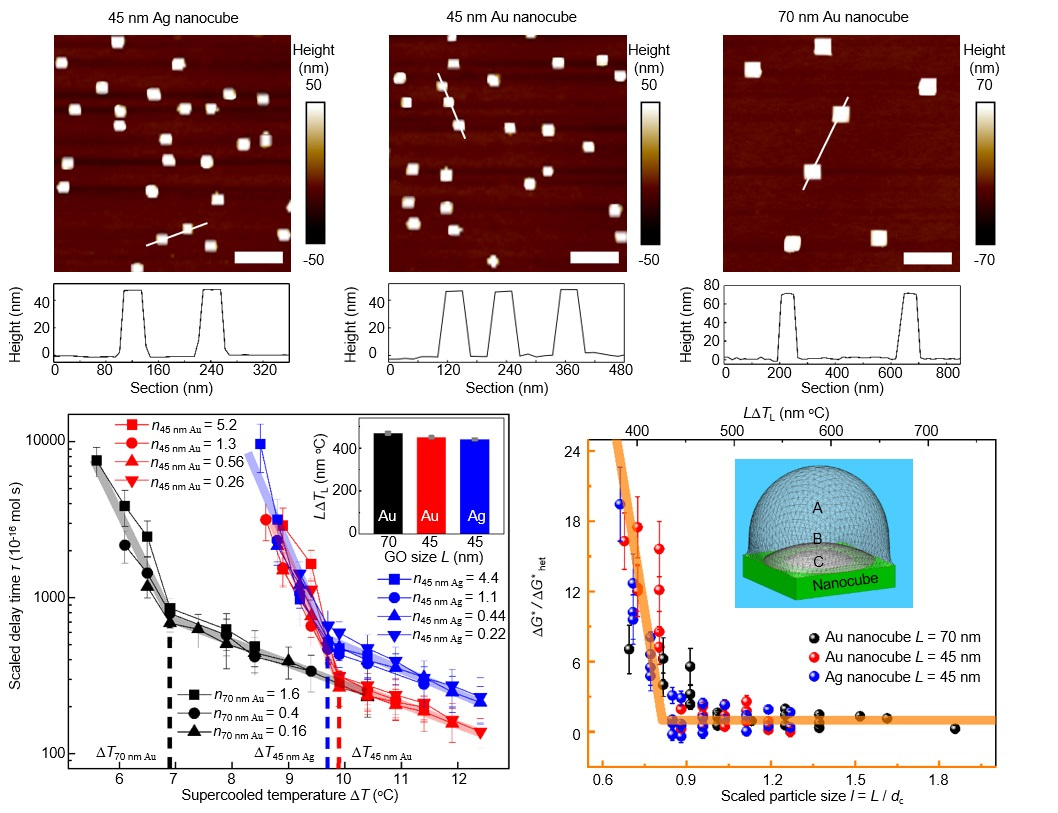 Fig. 1 Abrupt transitions of the THF clathrate nucleation activity of Ag/Au nanocubes.