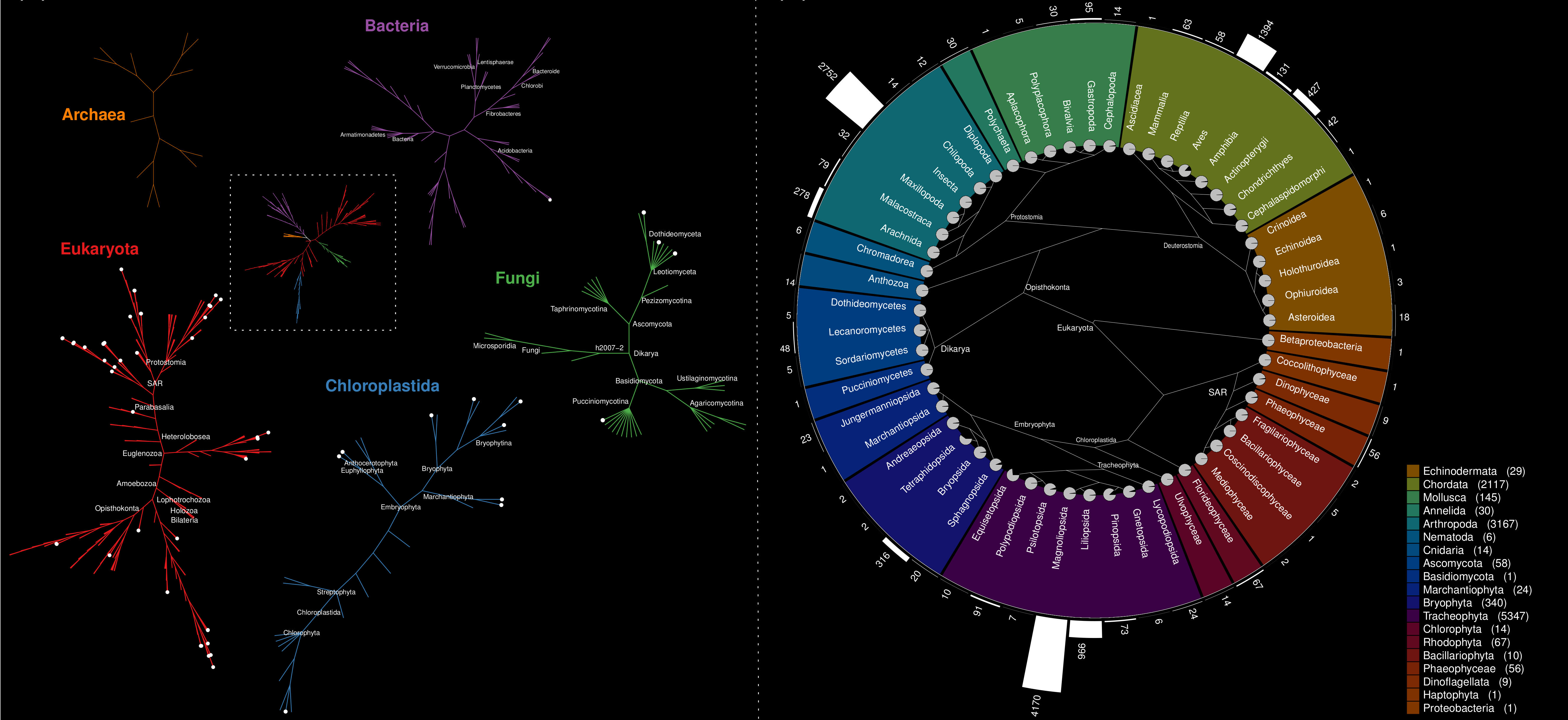 Phylogenetic coverage of BioShifts as of September 2018 Phylogenetic coverage of BioShifts as of September 2018