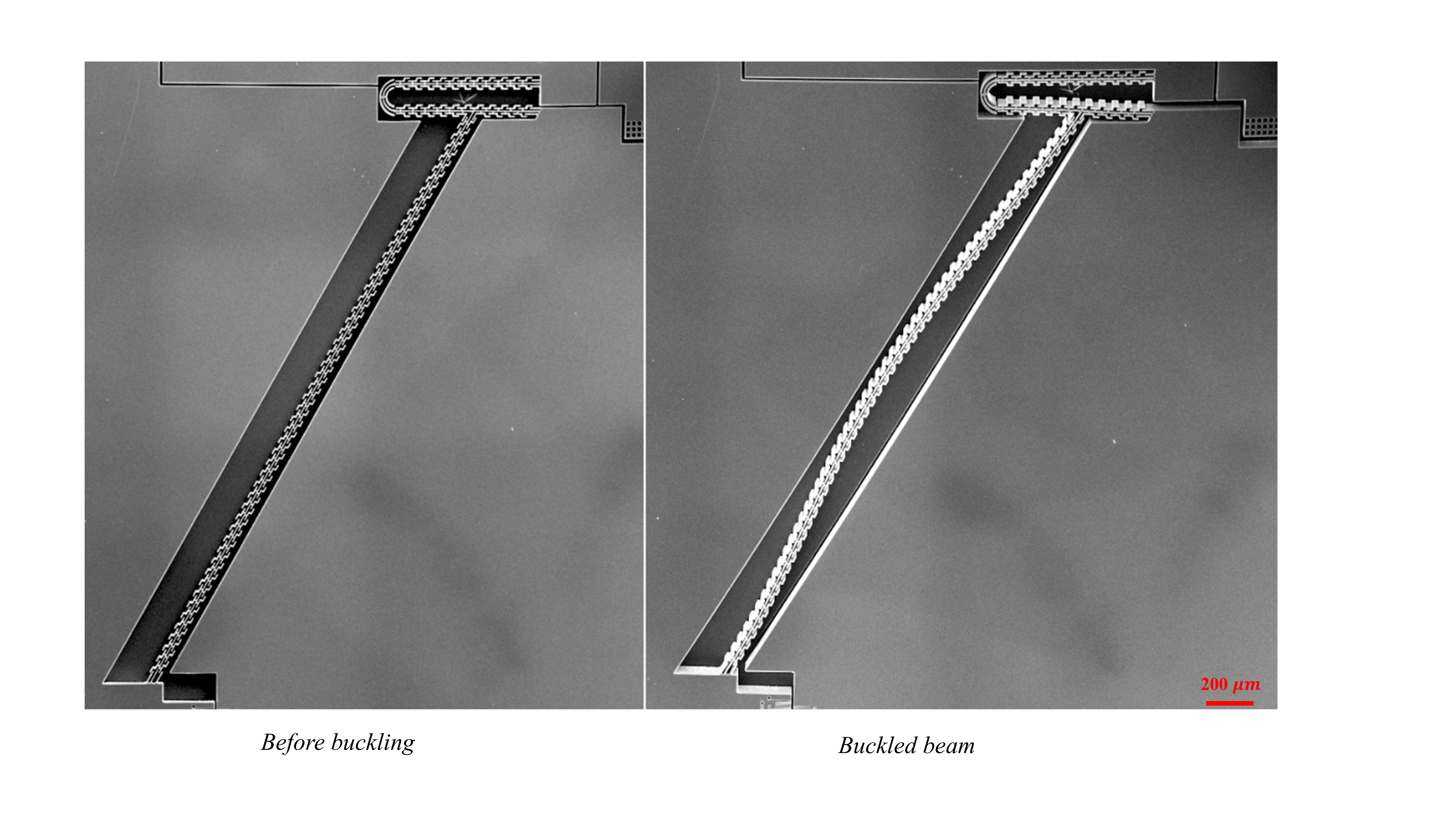 SEM pictures of the beam before and after buckling