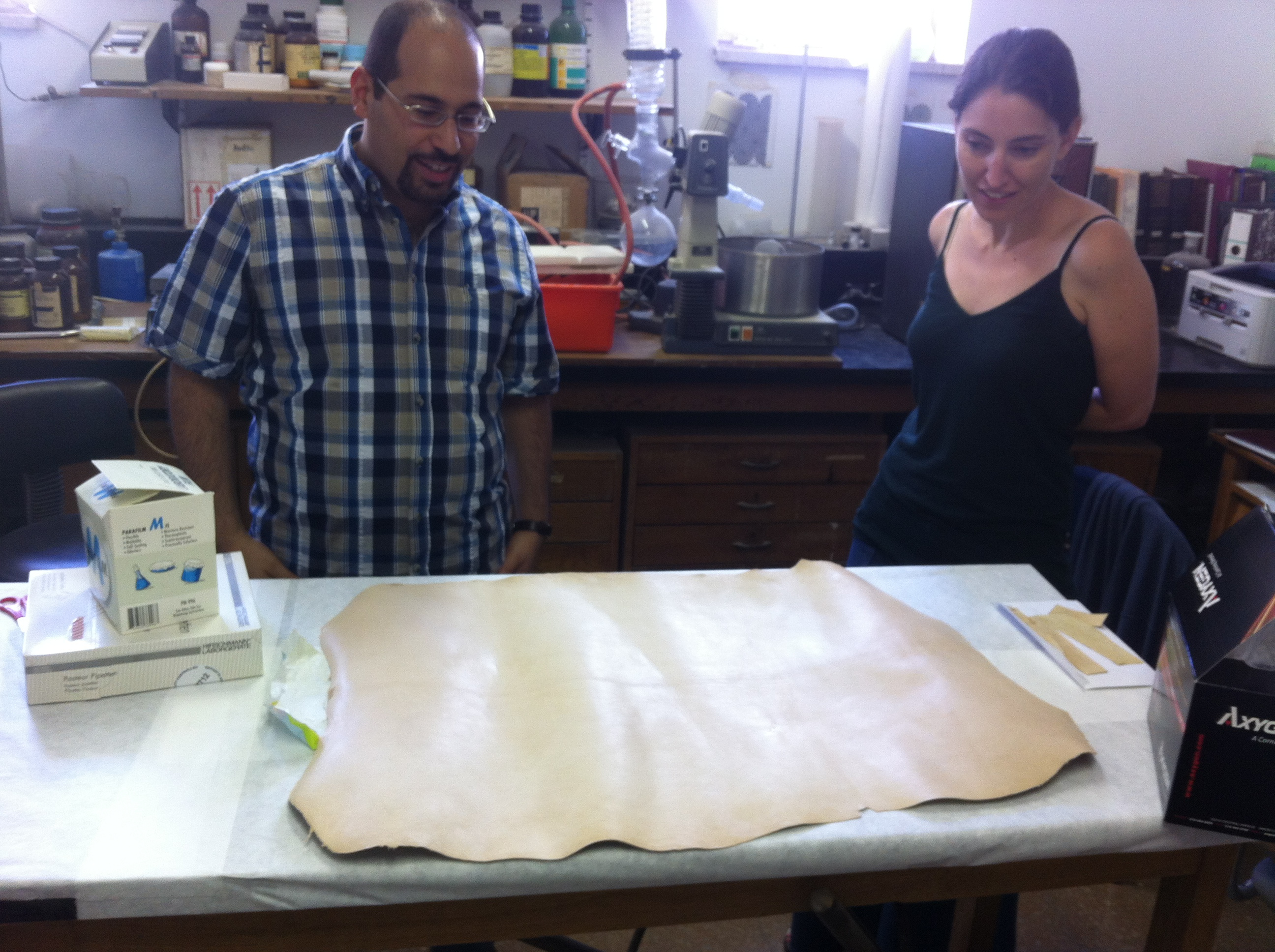 Sampling modern parchments Sampling modern parchments