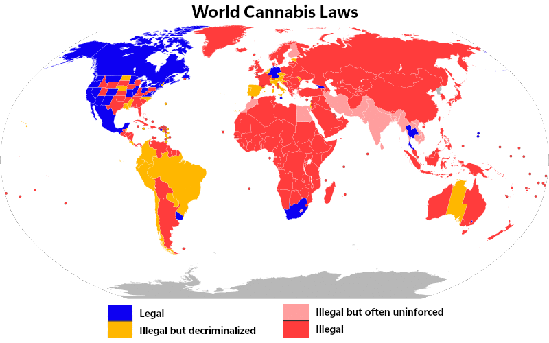 An animated image of the world map showing the regulation status of cannabis vs. medical cannabis. 