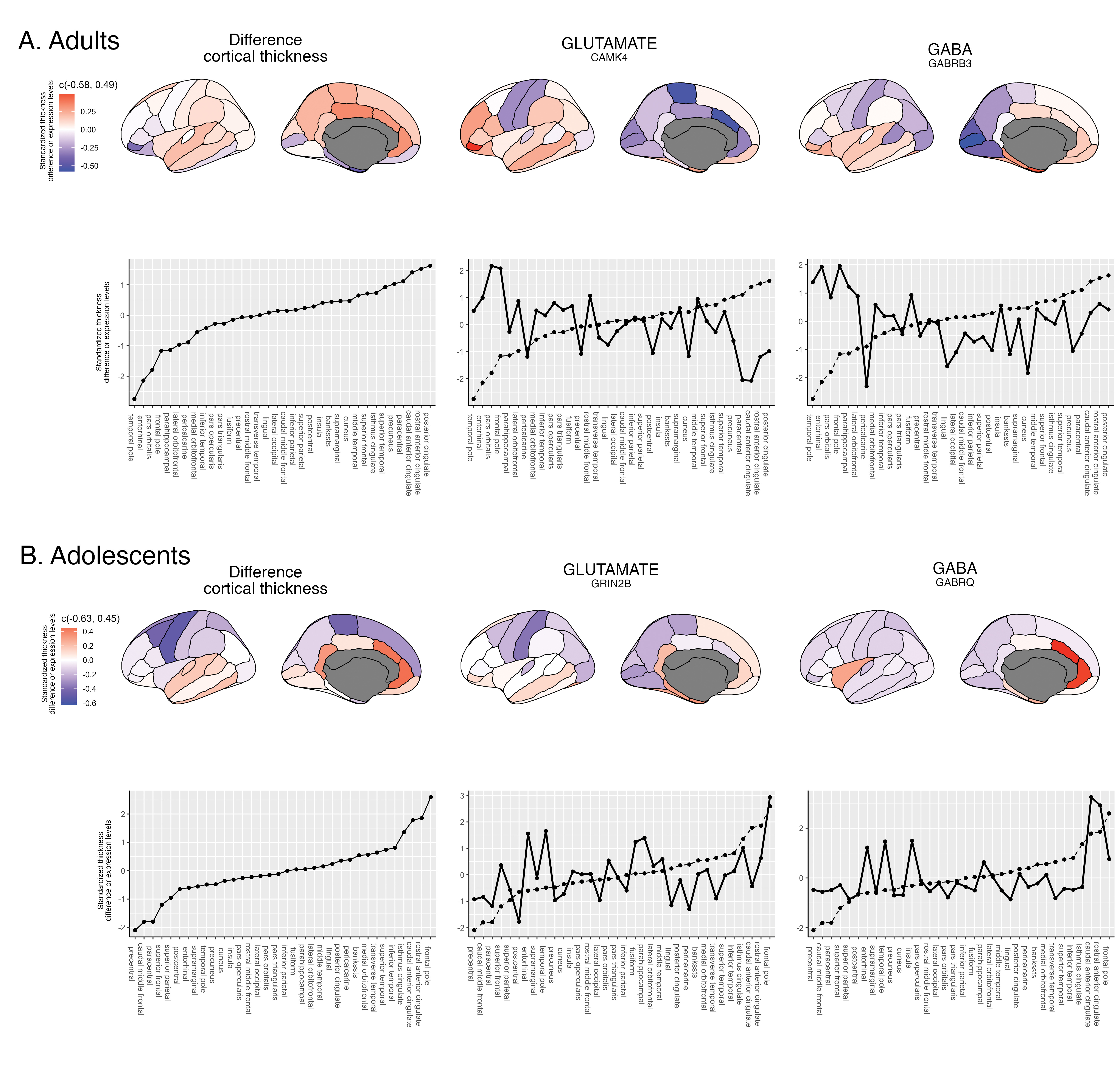 Gene-expression and cortical thickness difference of the highest correlating genes across brain regions