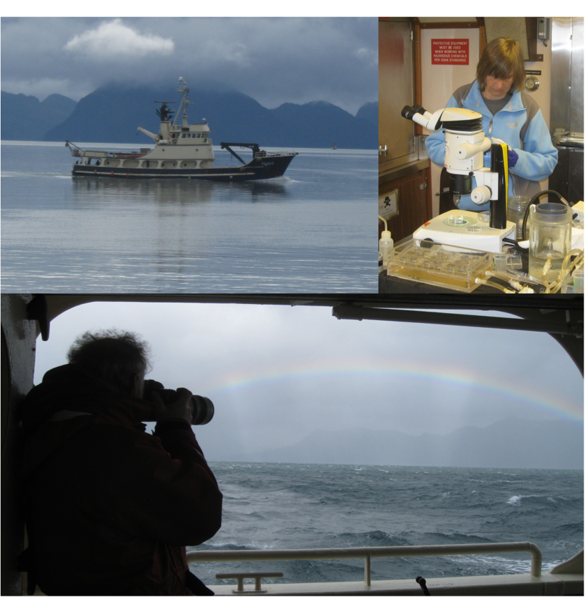 Tiglax Lab Tiglax Lab