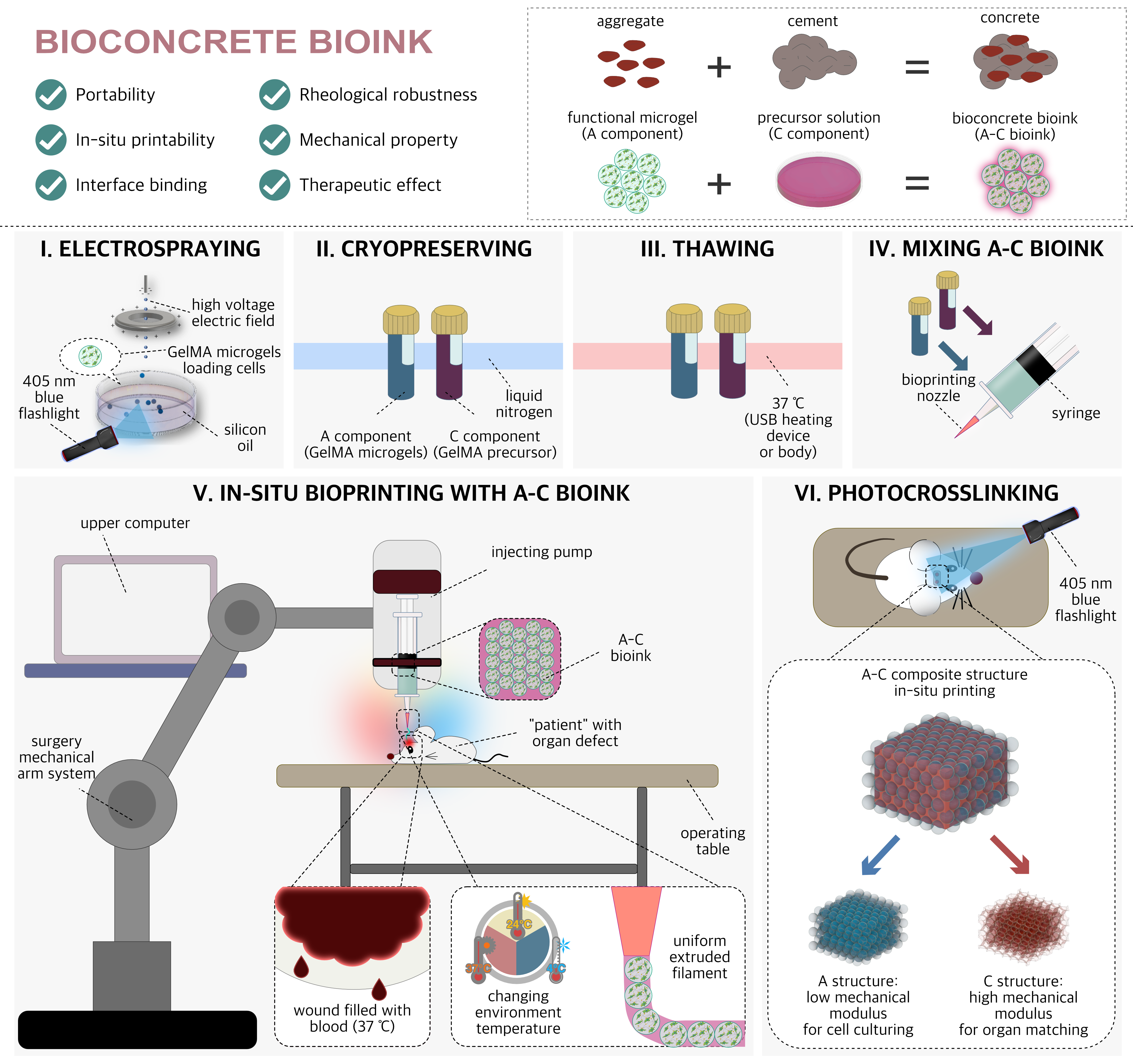 Train of thought of A-C bioink designing and sketch of the preparing/using method