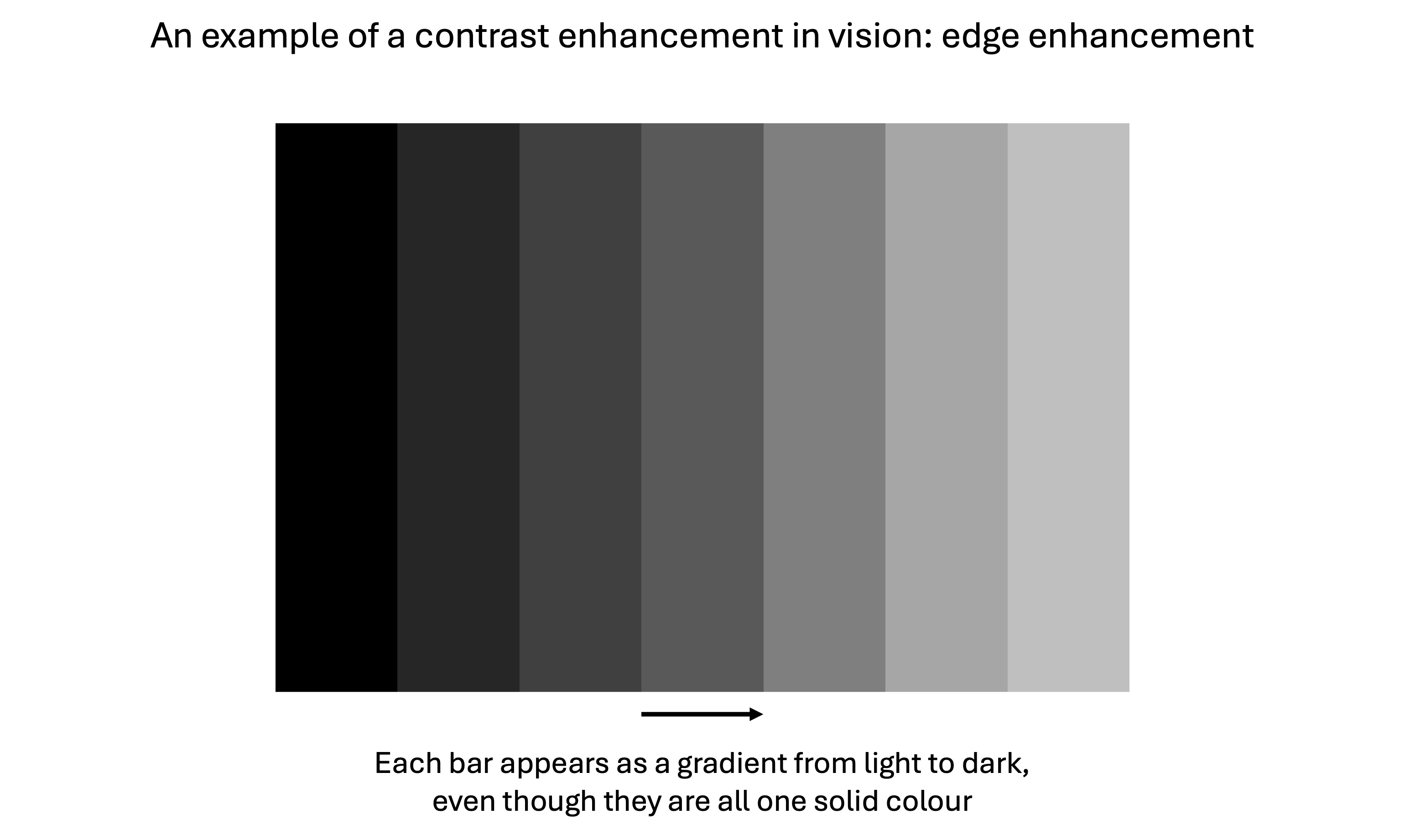 An example of edge enhancement. Showing a series of bars that steadily progress from black to light grey. Even though the luminance of each bar is uniform (i.e. they are the same shade throughout), contrast enhancement around the edges results in each bar being perceived as a gradient from light to dark. 