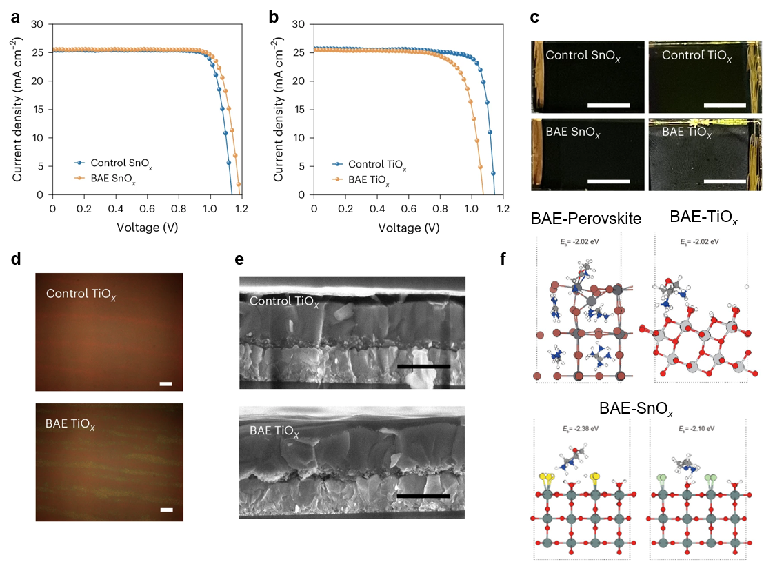 The effects of BAE as the interfacial molecule on different metal oxide substrates.