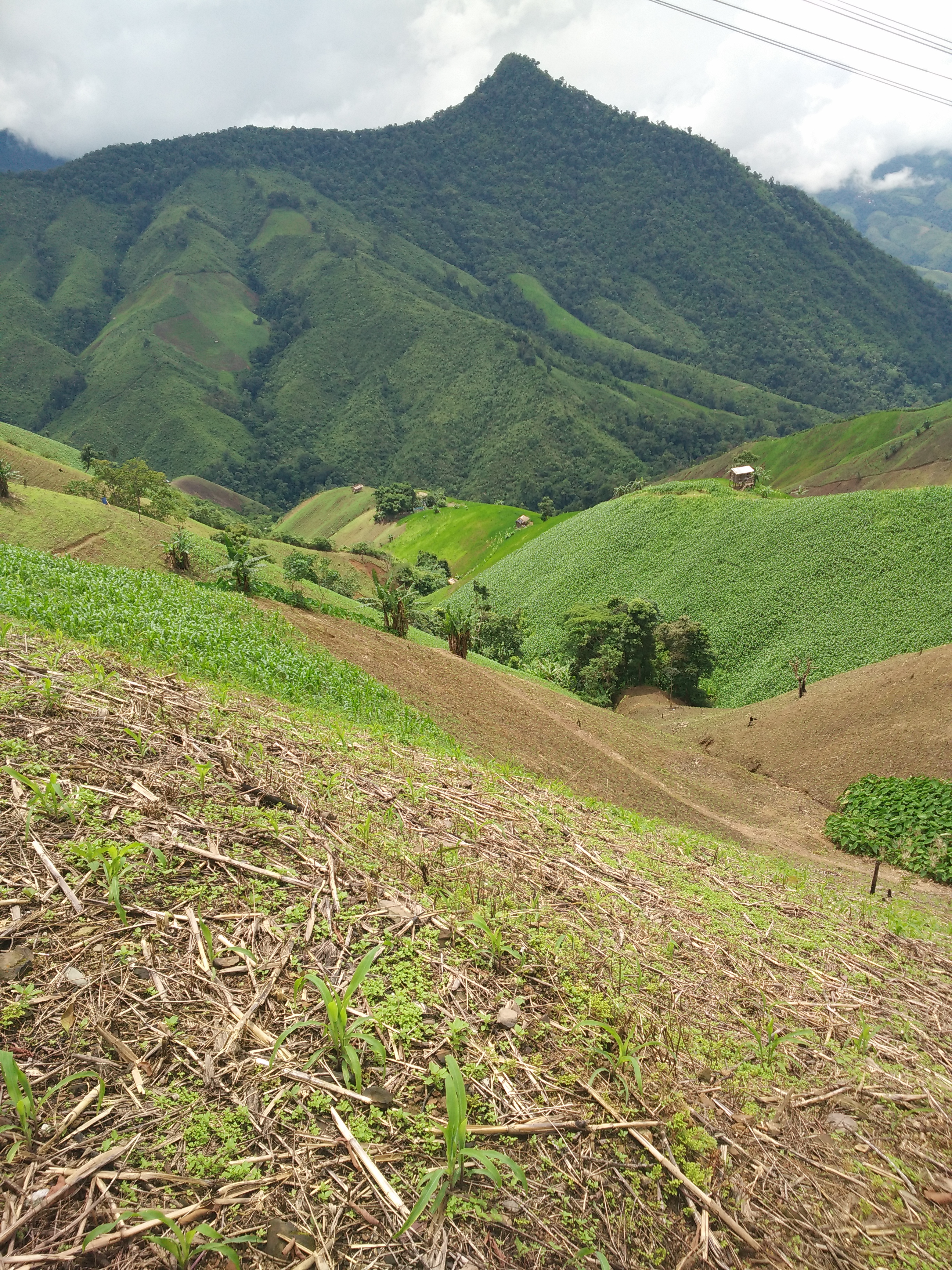Photo 1. Farmlands on hilly lands in Nan Province, a province in the highlands of Southeast Asian Massif. The photo is taken in the summer of 2016. Photo 1. Farmlands on hilly lands in Nan Province, a province in the highlands of Southeast Asian Massif. The photo is taken in the summer of 2016.