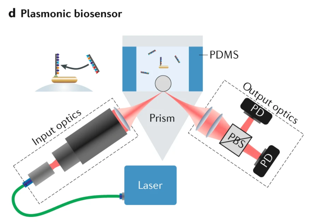 Fig. 3: Materials science in virus detection.