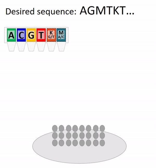 Synthesis of composite DNA