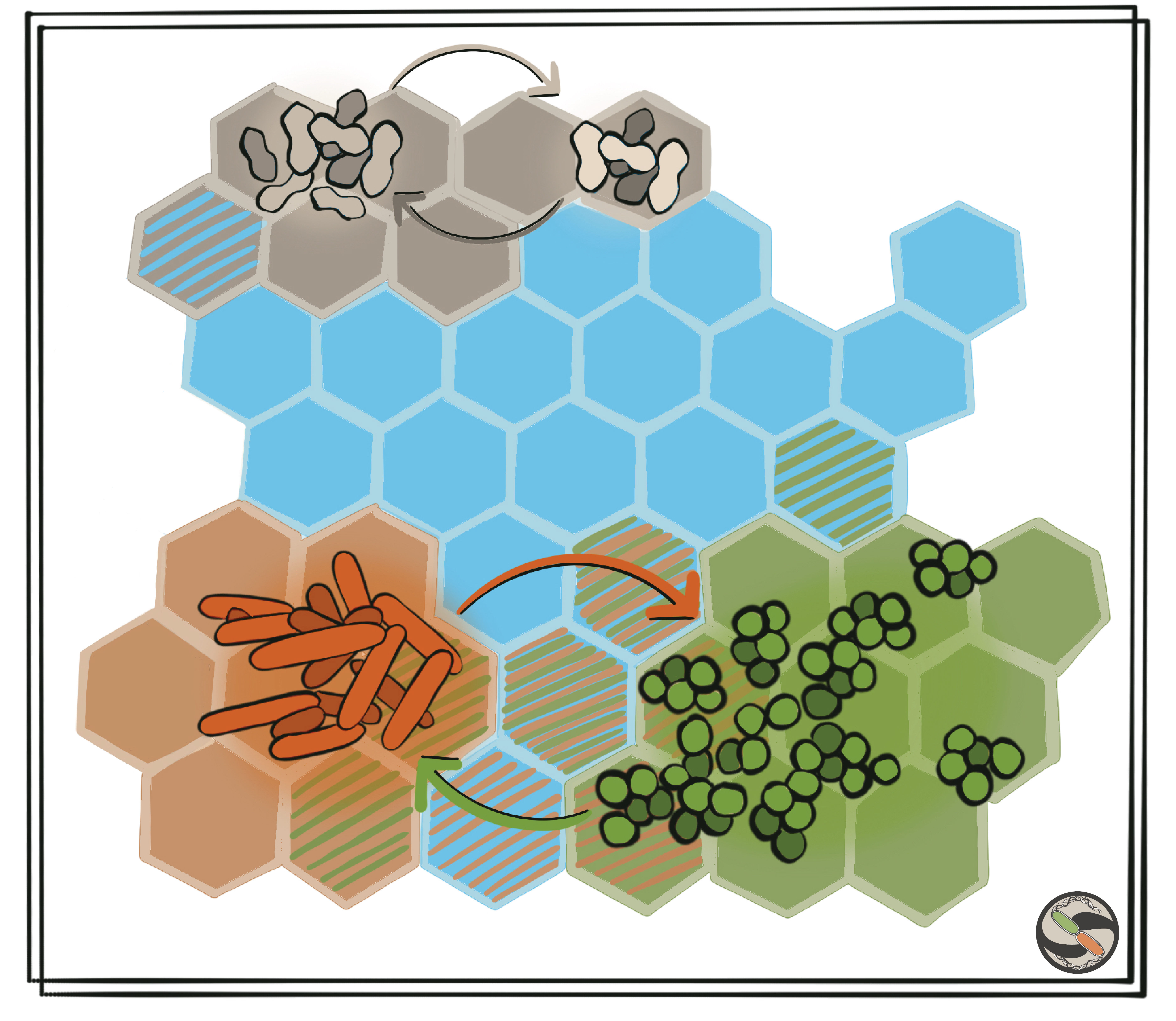 Metabolic cross-feeding between bacterial species viewed as a strategy-based board game, where the goal is to maximise resource use (hexagons).