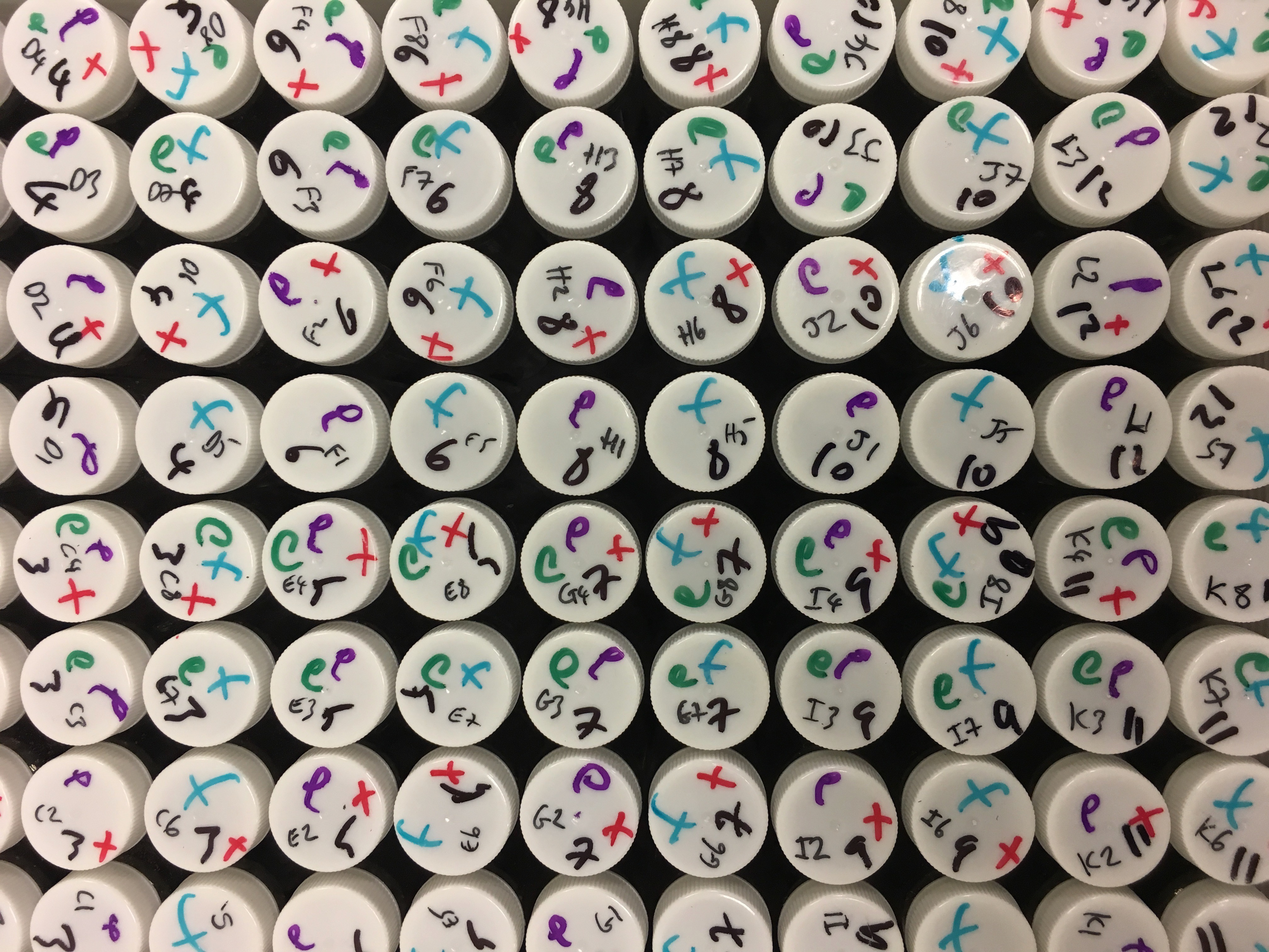 Microcosms from above