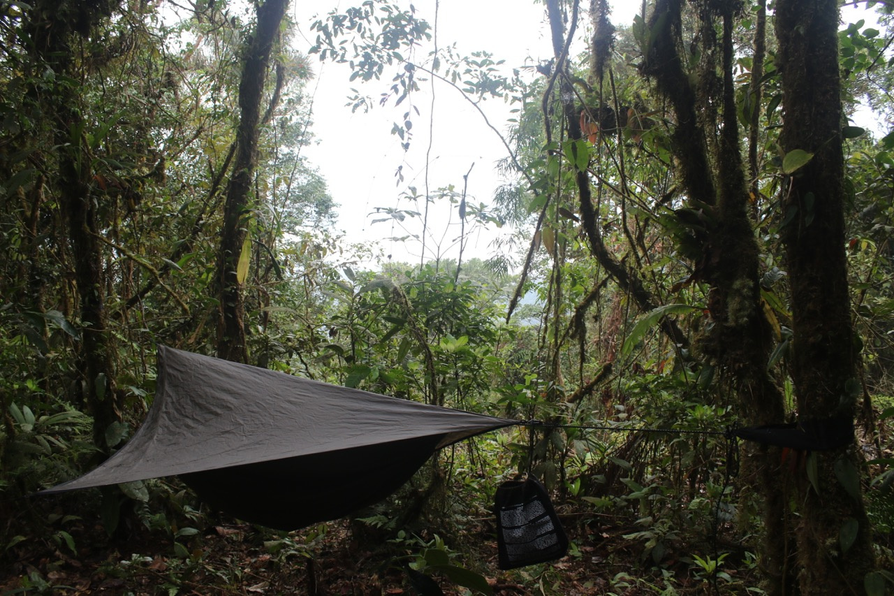 Camping out in the Darien Camping out in the Darien