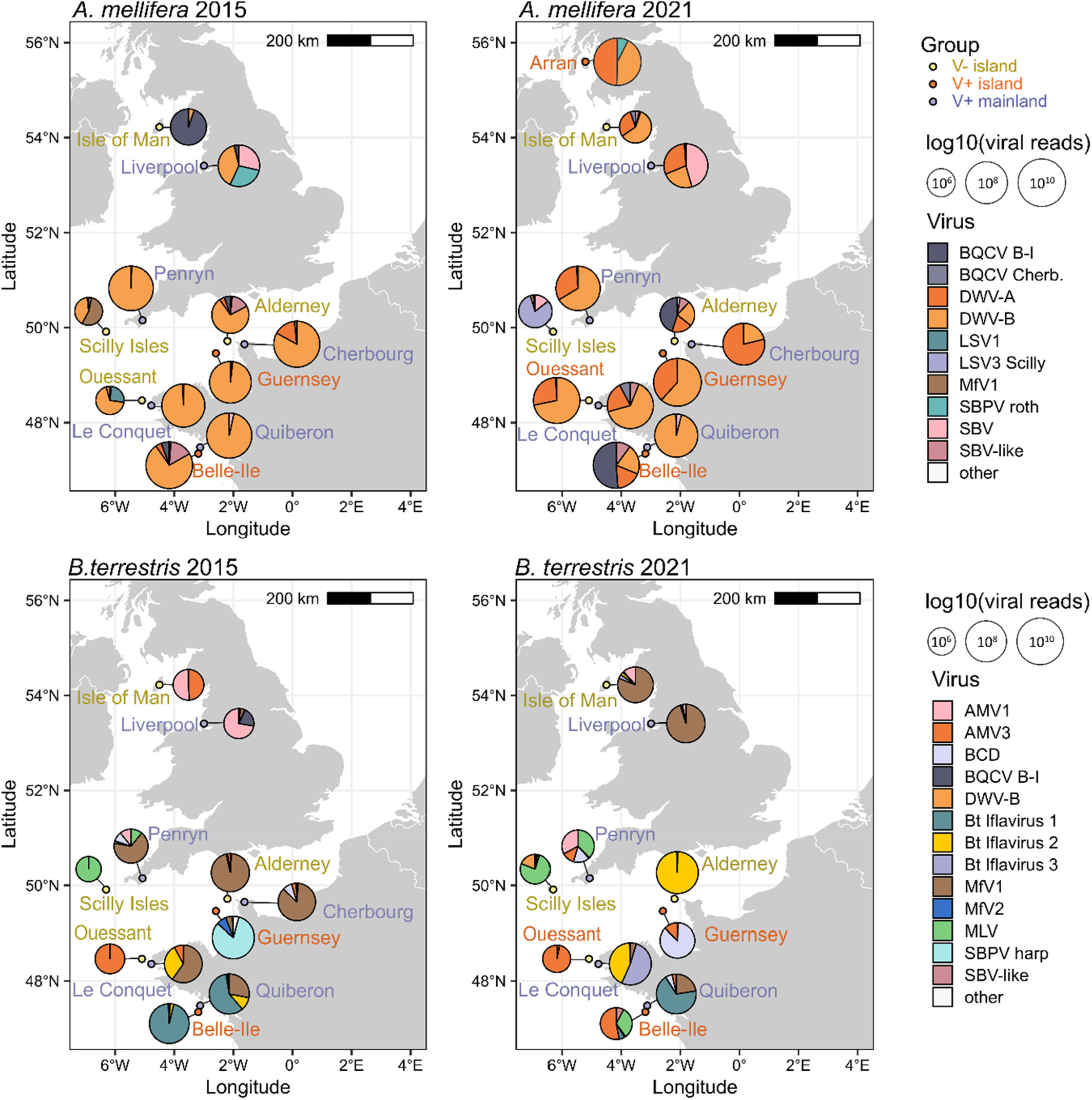 Map of the sampling sites, showing the different statuses of the site (i.e. Varroa free or not) and the proportion of viruses collected and total log number of viral reads sequenced.