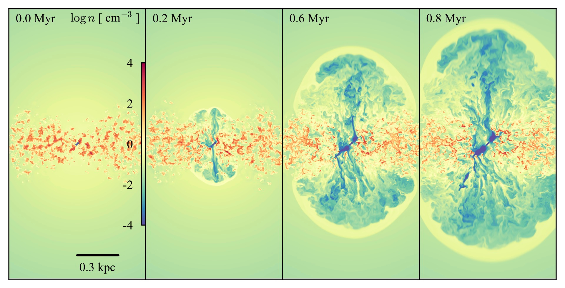Relativistic jets expanding into a clumpy gas disc