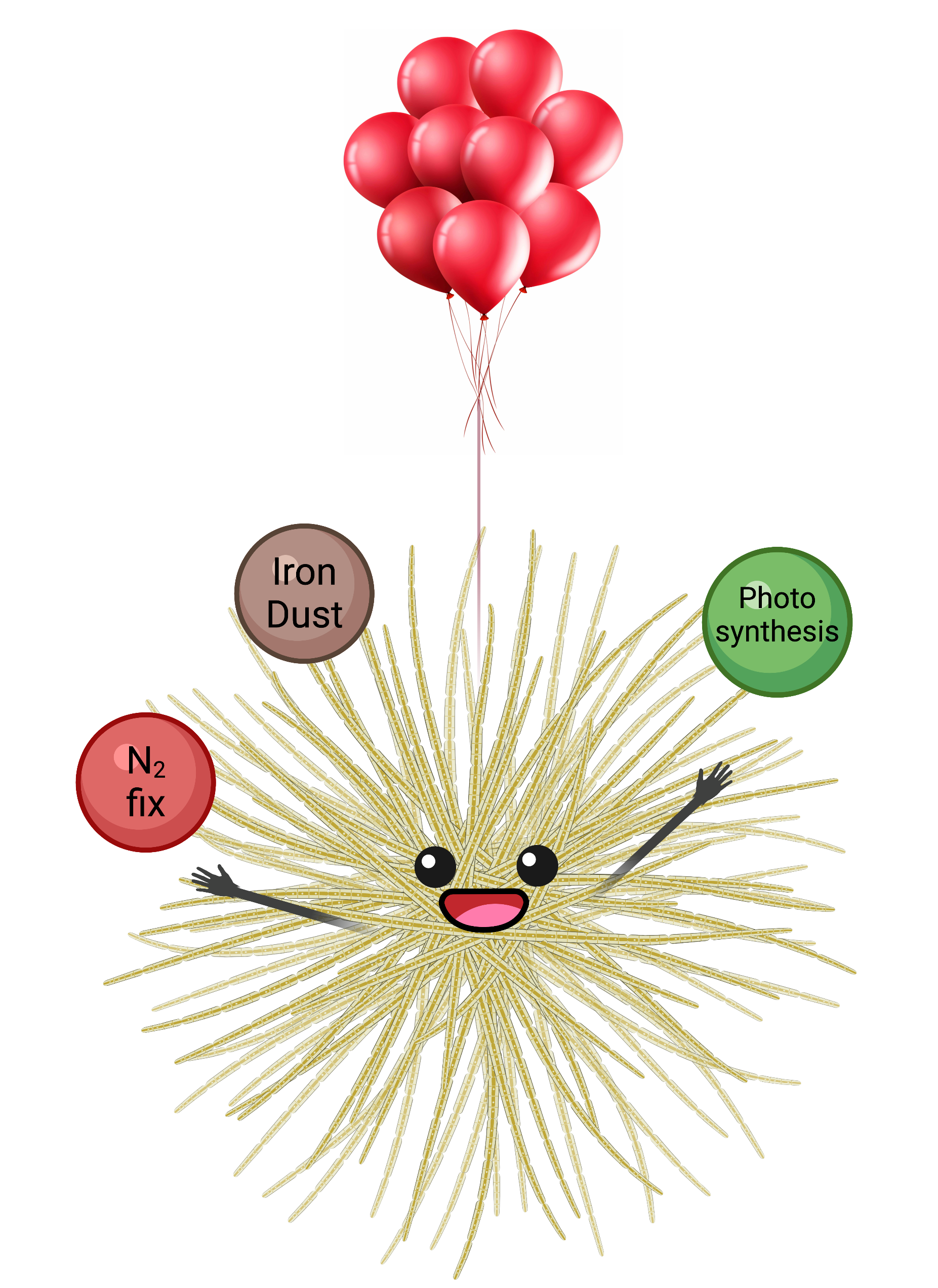 Cartoon of a Trichodesmium colony juggling nitrogen fixation, photosynthesis, and iron dust utilization with balloons to remain buoyant