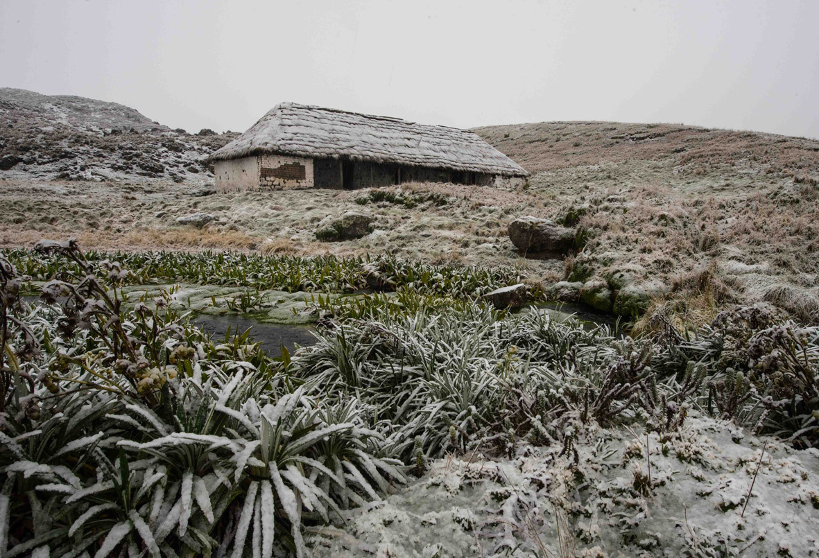 Antisana_Ricardo_Jaramillo